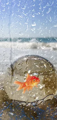 Fish in drop Live Wallpaper