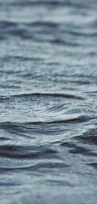 This mobile wallpaper offers a close-up shot of a tranquil rippling body of water