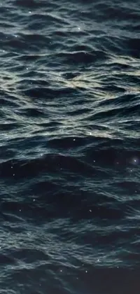 This stunning live wallpaper features a person surfing on a serene body of water
