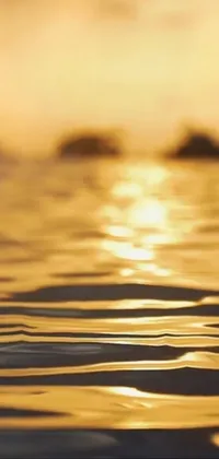 Looking for a serene live wallpaper for your phone? Look no further! This wallpaper features a mesmerizing close-up of a body of water, with a stunning sunset in the background
