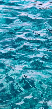 Water Liquid Fluid Live Wallpaper