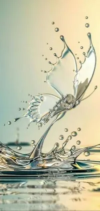 This live phone wallpaper features a stunning digital art image of a frozen in time splash on top of a body of water, along with a photo of a mechanical butterfly, bubbly textures, and a gentle ripple effect