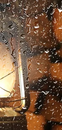 This photorealistic phone live wallpaper is a stunning depiction of a lantern sitting on a rain-covered window
