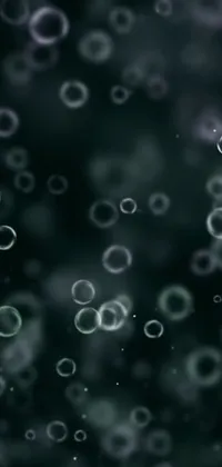 Welcome to the unique and captivating live wallpaper for your phone! This masterpiece features a bunch of bubbles delicately floating in the mesmerizing scene