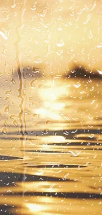 Enjoy the stunning view of a sunset through a rain covered window as your live wallpaper