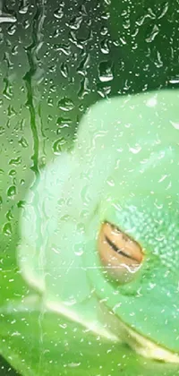 Water Liquid Green Live Wallpaper