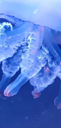 This phone live wallpaper features a stunning jellyfish floating in water