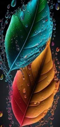 Water Liquid Leaf Live Wallpaper