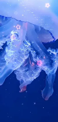 This stunning phone live wallpaper showcases a beautiful jellyfish floating effortlessly in the ocean
