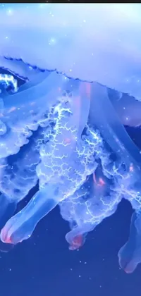 Water Liquid Marine Invertebrates Live Wallpaper