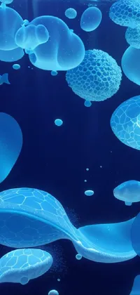 Water Liquid Marine Invertebrates Live Wallpaper