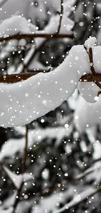 This phone live wallpaper highlights a snowy branch of a tree and features beautiful curves and lines shot on a 150mm lens
