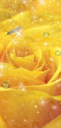 This phone live wallpaper showcases a stunning close-up of a yellow rose flower