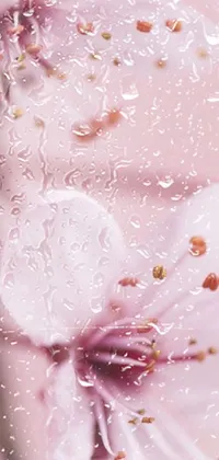 Water Liquid Petal Live Wallpaper