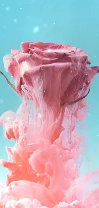 This amazing live wallpaper features a stunning pink rose suspended in clear water