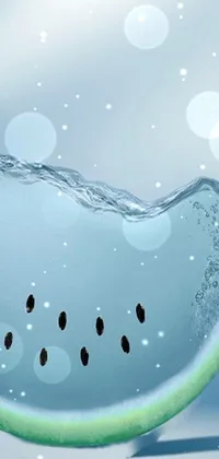 Water Liquid Plant Live Wallpaper
