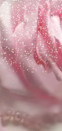 This phone live wallpaper showcases a digitally rendered close-up of a stunningly decorated cake adorned with delicate pink roses and real pearls