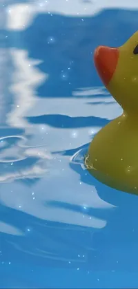 Looking for a fun and playful phone wallpaper? Look no further than this vivid live wallpaper featuring a yellow rubber duck floating peacefully in a Fisher Price public pool