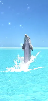 dolphin Live Wallpaper
