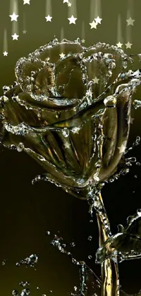 Water Liquid Stemware Live Wallpaper