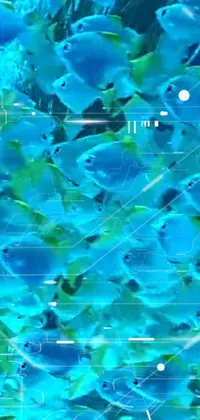 Water Liquid Vertebrate Live Wallpaper