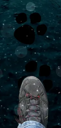 This live wallpaper features a serene black and white photograph of two poles in water, overlayed onto a teal-colored asteroid