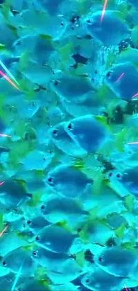 Get ready to be mesmerized by this stunning phone live wallpaper! Embark on a journey through a colorful underwater world as a group of fish swim gracefully next to each other