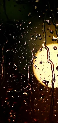 Water Liquid Window Live Wallpaper