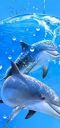 This digital live wallpaper depicts two dolphins swimming in bubbly water