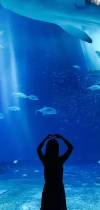 This captivating live phone wallpaper showcases a stunning underwater world