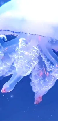 Water Marine Invertebrates Blue Live Wallpaper