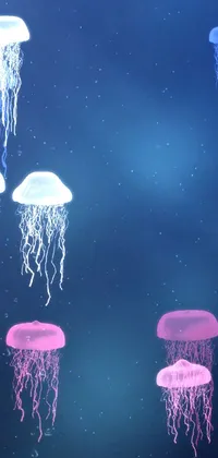 Water Marine Invertebrates Jellyfish Live Wallpaper
