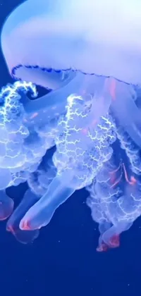 This phone live wallpaper features a stunningly detailed jellyfish floating amidst shimmering glowing veins of white in a water environment