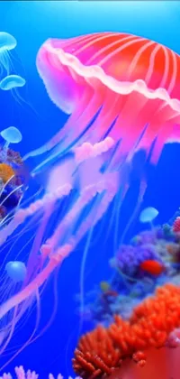 Water Marine Invertebrates Light Live Wallpaper