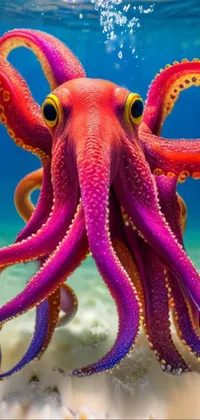 Water Marine Invertebrates Octopus Live Wallpaper