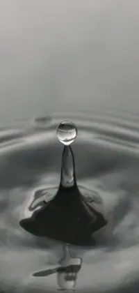 This live phone wallpaper features a stunning depiction of a water droplet falling into a serene body of water