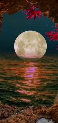 Water Moon Sky Live Wallpaper