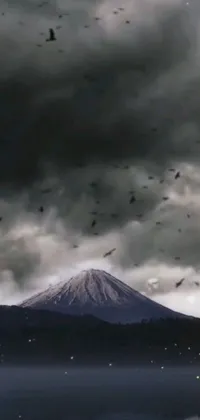 This live wallpaper features a stunning matte bird painting set against a mountainous backdrop