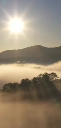 This phone live wallpaper showcases a breathtaking view of a foggy valley illuminated by the bright sun