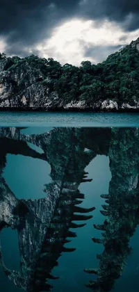 This phone live wallpaper showcases a surrealistic design by Fabien Charuau, featuring a body of water and mountain range against a half skull face
