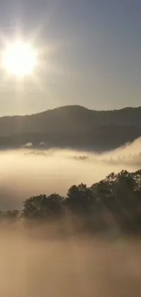 Discover a stunning live wallpaper for your phone featuring an illuminating sun and foggy valley landscape
