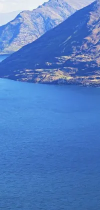 This phone live wallpaper features a serene bird's eye view of Golden Bay, New Zealand