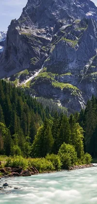 This vertical live wallpaper displays a picturesque river with a mountain in the background