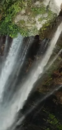 Transform your mobile phone background into a mesmerizing waterfall in a lush green forest with this phone live wallpaper