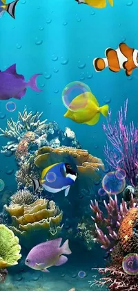 Water Natural Environment Underwater Live Wallpaper