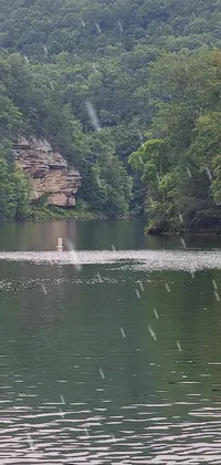 This live wallpaper captures the natural beauty of West Virginia with a stunning body of water surrounded by lush green trees