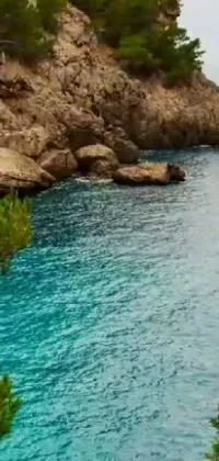 Water Nature Azure Live Wallpaper