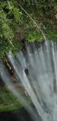 Water Nature Waterfall Live Wallpaper