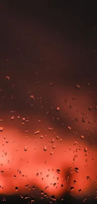 Experience the beauty and serenity of a sunset through a rain-covered window with this stunning phone live wallpaper