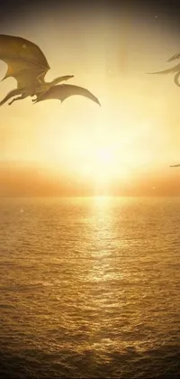 Get a stunning live wallpaper for your phone, featuring a group of birds soaring over a body of water